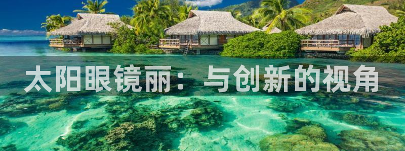 新宝股东瞧听2 5 5