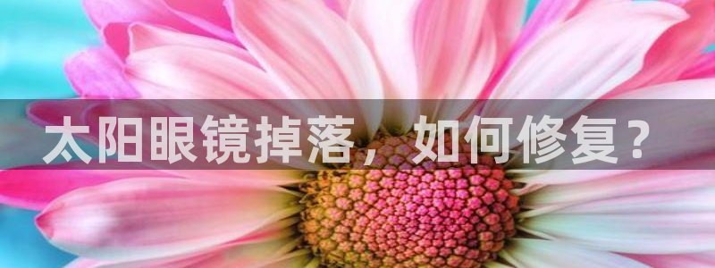 新宝6霸哥5