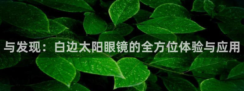 新宝5娱乐没