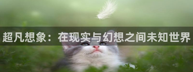 新宝j2O5O5O