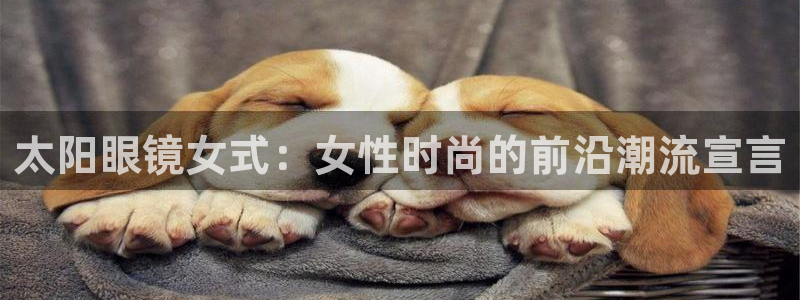 新宝5娱乐经