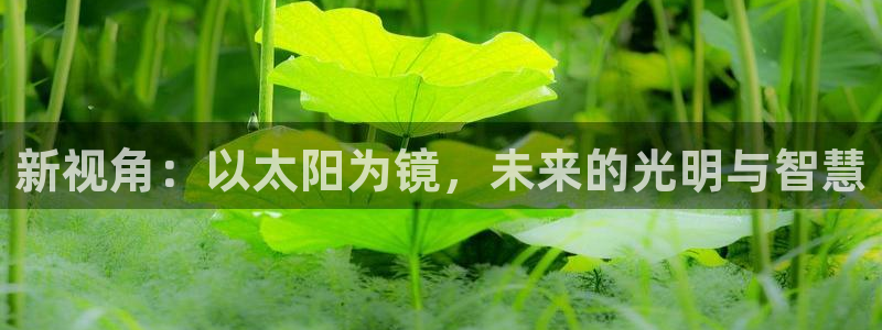 新宝5软件下载
