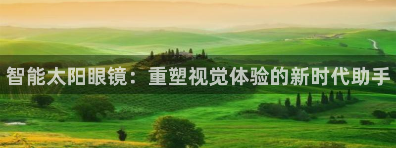 新宝5是什么样子的