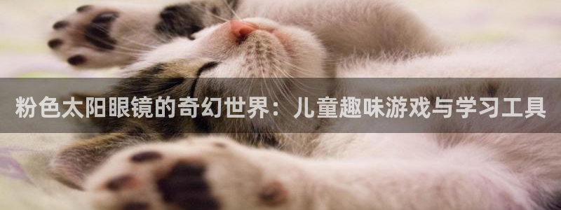 新宝5软件下载