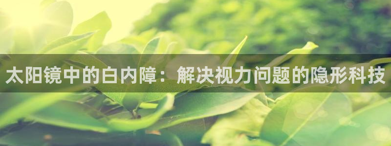 新宝5怎么代理