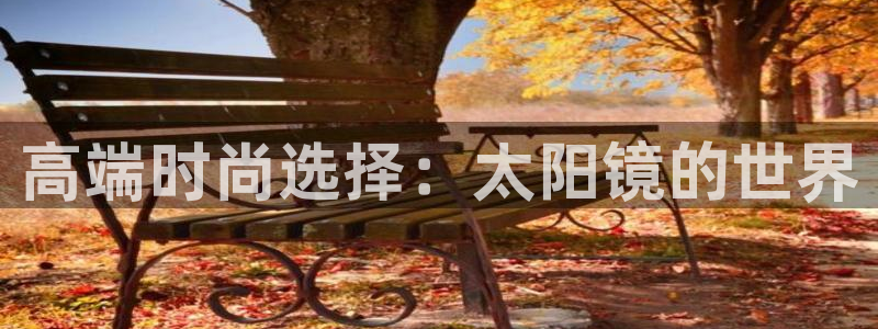 新宝股东瞧听2 5 5