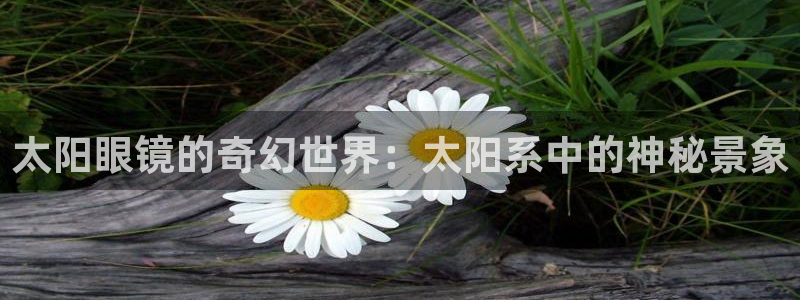 新宝5源码