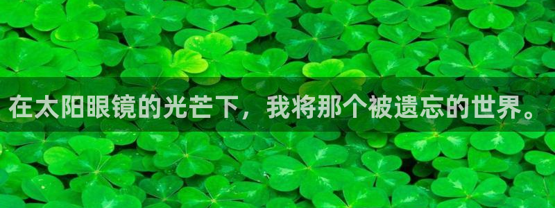 新宝娱乐5
