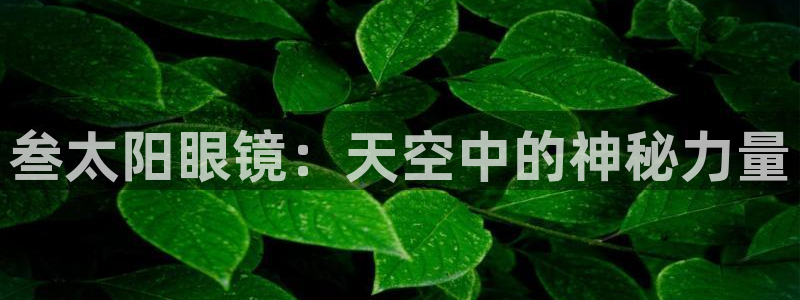 新宝5娱乐都