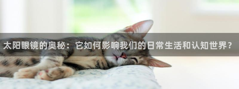新宝5下载测试