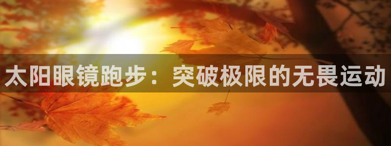 新宝5测速登陆