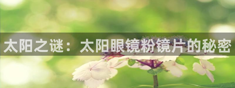 新宝5娱乐学
