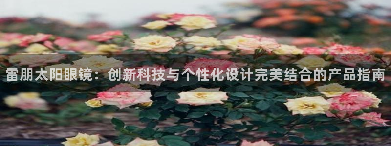 新宝5苹果手机下载