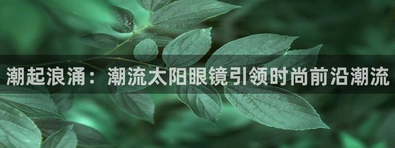老新宝5授权登录