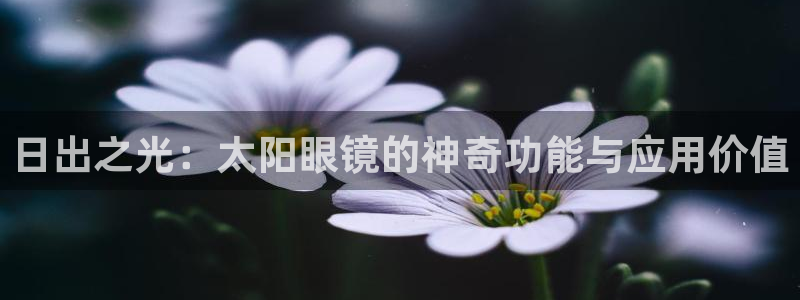 新宝5平台登录