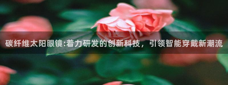 新宝5娱乐平台