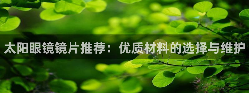 新宝5下载 迅雷下载