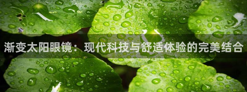 新宝5是什么