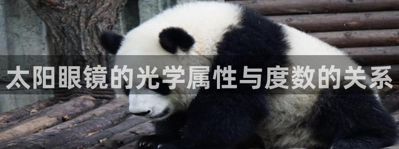 有人知道新宝5么